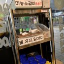 마농소갈비