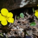 성폭력상담원교육훈련시설 이미지