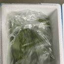 스마트팜 채소 유럽 샐러드 버터헤드레터스, 프리미엄 야채에요!