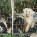 대산수산 - 강화군 해안북로 582 | 대산수산