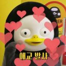 와플러스