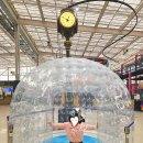 수원-0395 이미지