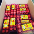 김대환농장 이미지