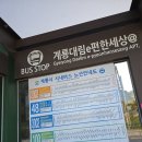 동해체육관 | 엔시티즌도 계룡시티즌 시켜주세요 | ⚓️2024 해군 호국음악회 in 계룡 | 해군홍보대 | NCT 태용