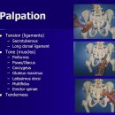 Sacroiliac joint dysfunction에 관한 검사 및 치료법 이미지