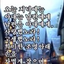 부부정