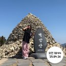 백양산임도(1) | 부산 초보 등산코스 추천! 백양산 철쭉군락지부터 정상까지 인생샷 명소 (25.4.26 방문)