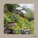 원주 마운틴뷰카페, 책 읽기 좋은 카페, 산에는 꽃이피네