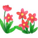 지솔블러썸 (Jisol blossom)