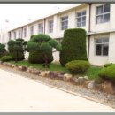 가덕중학교 이미지