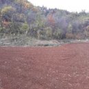 행복한전원공인중개사사무소 이미지