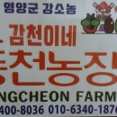 동처농장 네이버블로그
