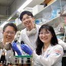 그래비티의 효능 이미지