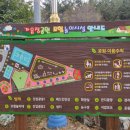 상남도서관 맞은 편 이미지