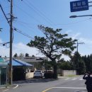 머구낭동산 네이버블로그