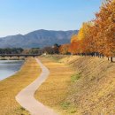 강변에서 이미지