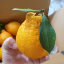 신진농장 이미지