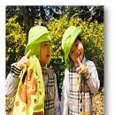 칠곡한솔유치원 이미지