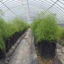 너울농장 이미지