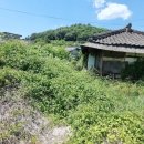 동읍스카이부동산중개사무소 이미지