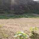 청송읍사무소 이미지