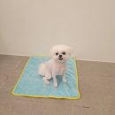 송내동1 이미지