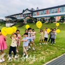 보성초교 이미지