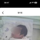 알리르마리산후조리원 이미지