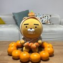 안당농장 이미지