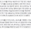 하이잡주