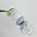 데꼬헤 이미지