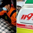 펫택시119 이미지