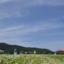 기흥호수공원 이미지