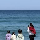 다래정 | [내돈내산]속초중앙시장 맛집, 낙산해수욕장, 낙산해신물회, 신흥사, 설향 십전 대보탕, 다래정 후기