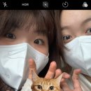 도현테라피