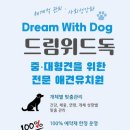 드림애견 네이버블로그