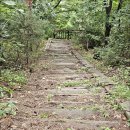 경주 큰갓산 동국대 캠퍼스일원 ~ 240719 이미지