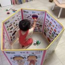 건우지게차 | 내돈내산 세이펜 후기 : 태극펜+병풍책 세트