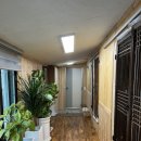 스테이 꿈의대화 이미지