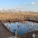 상록공원 게이트볼장 | [경기도 안산시 상록구] 안산갈대습지공원