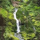 산기리마을회관 | 무건리 이끼폭포 500m 강원 삼척 도계읍 190804