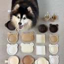 채널독 | 2025 브릿지독 감사제 B급전 비급전 오픈런 후기