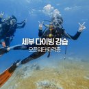 펀 스포츠 | 세부 다이빙 체험 오픈워터 자격증강습 펀다이빙 후기