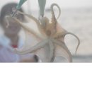 굿맨낚시 이미지