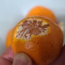 월석농장 이미지