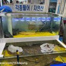 정은수산횟집 이미지