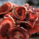 철이네농장 이미지