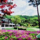 마이다스밸리 청평 골프 클럽 | 마이다스밸리 청평 골프클럽에서의 특별한 하루