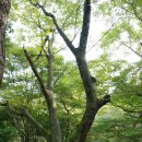 (주)본현 - 평택시 | 금산사 - 김제 [1]