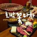 양반청원삼계탕 | 율량동 데이트 추천 청주맛집 : 호박꽃마차 율량점 최고급 소고기 야끼니꾸